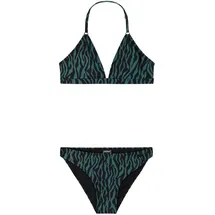 Protest PRTFabu Triangle Bikini Grün 176
