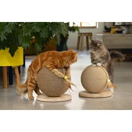 Designed by Lotte Balty Kratzbaum 30 x 30 x 31,5 cm braun