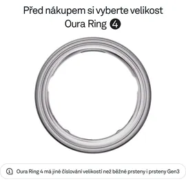 Oura Ring 4 Größe 7 - 54,4 mm Brushed Silver