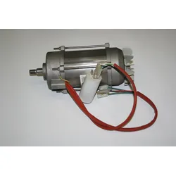 ELMAG Motor komplett für QUEEN 230 - 9601226