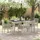 vidaXL Garten Essgruppe 5-tlg. Hellgrau