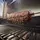 Weber Holzpelletgrill 2025 Searwood