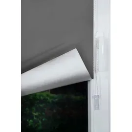 Buchheister Seitenzugrollo Thermo Win Rollo 100 x 160 cm grau