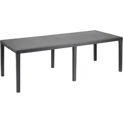 PROGARDEN Tisch Resin Ratan Harz Tisch Anthrazit Prinz 220x90 cm.