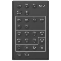Gira Fernbedienung Sensotec 237300