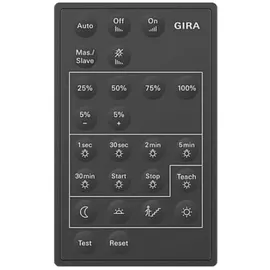 Gira Fernbedienung Sensotec 237300