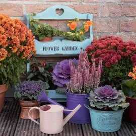 Relaxdays Gießkanne 1,3 Liter weiß