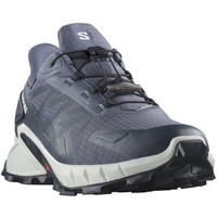 Salomon Supercross 4 Gore-Tex Herren carbon 48