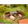 faller® Holzlagerschuppen 232373 N