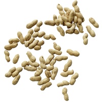 Nutwork Erdnüsse Jumbo In Der Schale (2,5 kg)