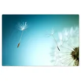 cover-your-desk Schreibtischunterlage für Kinder und Erwachsene Pusteblume, aus hochwertigem Vinyl , 60 x 40 cm