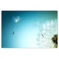 cover-your-desk Schreibtischunterlage für Kinder und Erwachsene Pusteblume, aus hochwertigem Vinyl , 60 x 40 cm