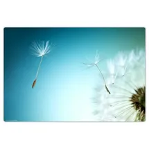 cover-your-desk Schreibtischunterlage für Kinder und Erwachsene Pusteblume, aus hochwertigem Vinyl , 60 x 40 cm
