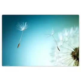 cover-your-desk Schreibtischunterlage für Kinder und Erwachsene Pusteblume, aus hochwertigem Vinyl , 60 x 40 cm