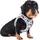 Curli Clasp Vest Hundegeschirr Light-Gray 3XS