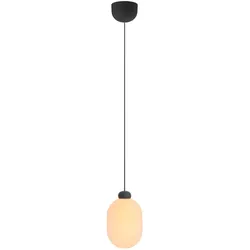 GRAU Sun LED Aufbau Pendelleuchte Black