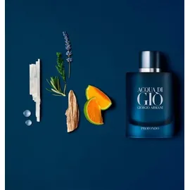 Giorgio Armani Acqua di Gio Profondo Eau de Parfum 40 ml