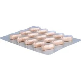 ABS-Original OPC Vertrieb Masquelier's Original OPCs Anthogenol Kapseln 30 St.