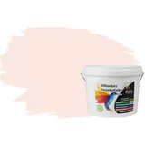 RyFo Colors Silikonharz Fassadenfarbe Lotuseffekt Trend Weißtöne Zartrosé 3l - bunte Fassadenfarbe, weitere Weiß Farbtöne und Größen erhältlich, Deckkraft Klasse 1