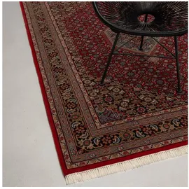rug n' roll Orientteppich Indo Bidjar, klassisch, strapazierfähig, pflegeleicht, Rechteckig, handgeknüpft rot 40 cm x 60 cm