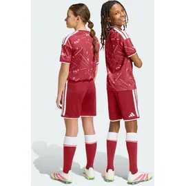 adidas FC Liverpool Shorts 2026/27 rot Kinder Gr. 164