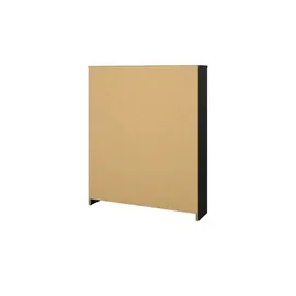 INOSIGN Schuhschrank 70,3 x 85 x 16,6 cm schwarz matt