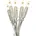 Star Trading Mini-Lichterkette LED 2 Transparent