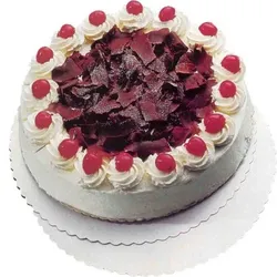 500 Tortenunterlagen Kuchenunterlagen rund REC Ø 32 cm weiß