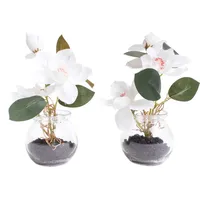 Botanic-Haus Magnolie im Glas«, beige