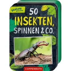 COPPENRATH 63699 50 Insekten, Spinnen & Co. (Nature Zoom)