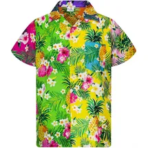 King Kameha Funky Hawaiihemd Kids Kinder Jungs, Kurzarm, Print Pineapple Flowers, Mix, 2 - 2 Jahre
