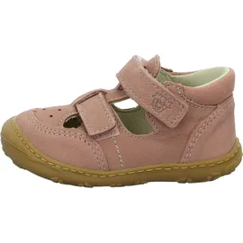 Pepino Eni Rosa 24