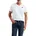 Herren T Shirt Housemark Tee mit V Neck Weiß XL