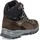 Hanwag Banks GTX Damen Mocca/Black 37