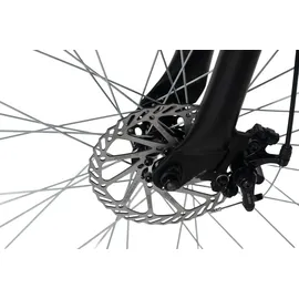 WYLD Heist 29 Zoll RH 51 cm braun