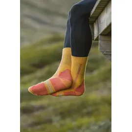 Danish Endurance Hiking Classic Socken 3-Paar Grau 39-42