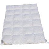 Betten Hofmann TRAUM Daunenbett Kassette 4x6 155x220 Daunendecke mit Außensteg, 100% neue Daunen Weiß