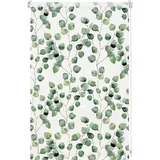 GARDINIA Rollo Isabella 80 x 150 cm lichtdurchlässig
