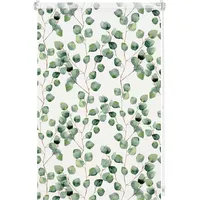 GARDINIA Rollo Isabella 80 x 150 cm lichtdurchlässig