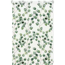 GARDINIA Rollo Isabella 80 x 150 cm lichtdurchlässig