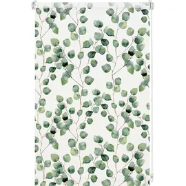 GARDINIA Rollo Isabella 80 x 150 cm lichtdurchlässig