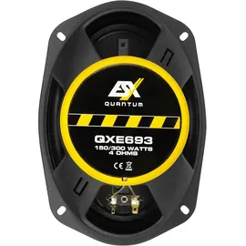 ESX QUANTUM Triax 6x9" QXE-693 Triax-System 6x9"