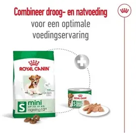 Royal Canin Mini Ageing Mousse 12 x 195 g