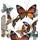 moebel-direkt-online möbel direkt online Wanddekoration Butterfly