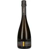 Paladin Prosecco Millesimato Extra Dry DOC 11 % vol 0,75 l