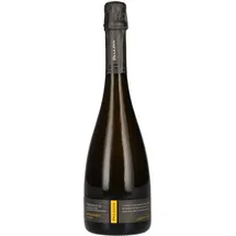 Paladin Prosecco Millesimato Extra Dry DOC 11 % vol 0,75 l