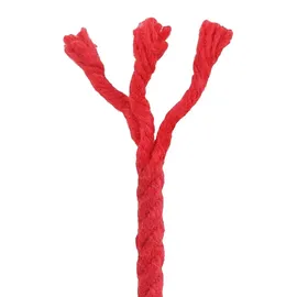 vidaXL Baumwollseil 25 m 6 Rot 100% Baumwolle