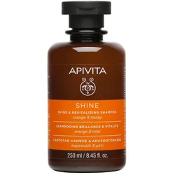 Apivita Shampoo 250 ml