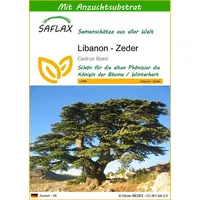 SAFLAX - Libanon - Zeder - 20 Samen -