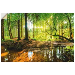 Wandbild ARTLAND "Wald mit Bach", grün (farbe bild(er): grün), B:90cm H:60cm, Bilder, als Alubild, Outdoorbild, Leinwandbild, Poster, Wandaufkleber